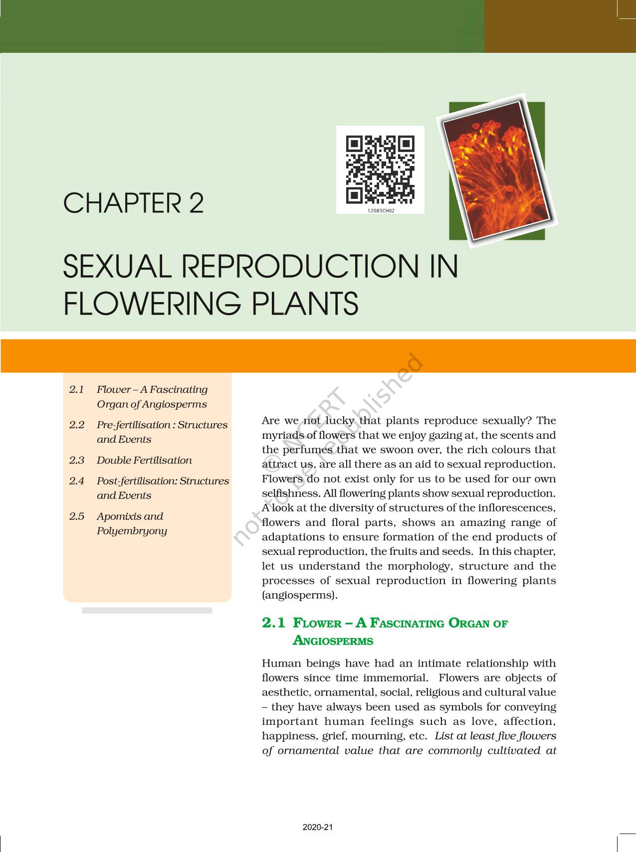 Sexual Reproduction In Flowering Plants - NCERT Book Of Class 12 Biology